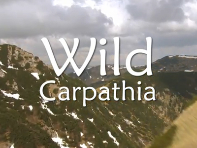 wild-carpathia